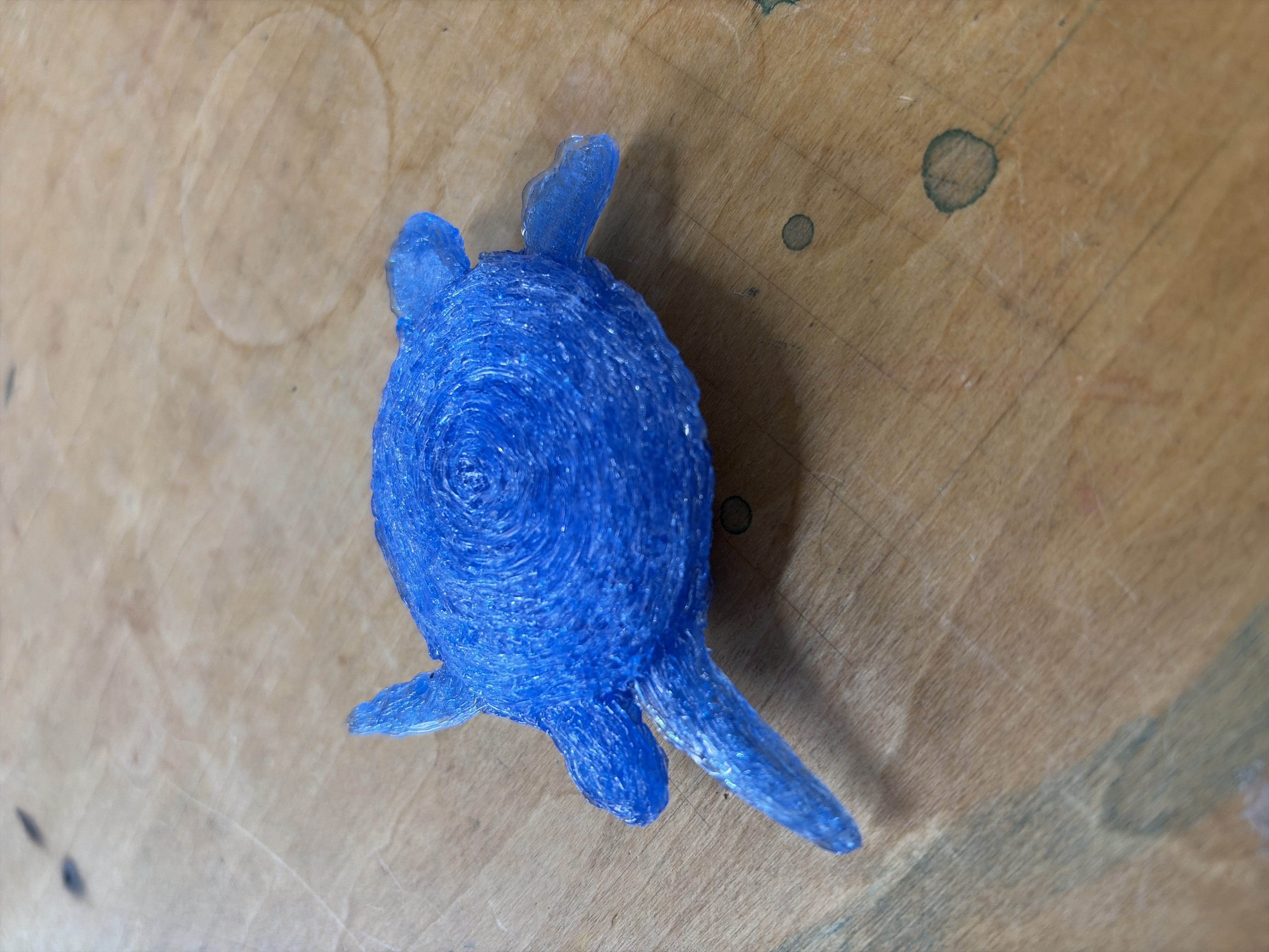 海亀
